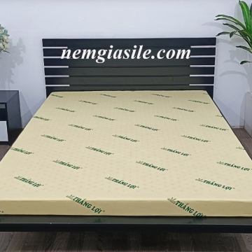 Nệm cao su non Thắng Lợi dạng thẳng