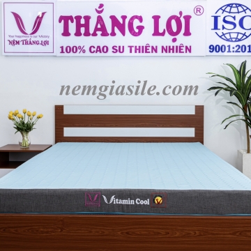 NỆM ĐIỀU HOÀ THẮNG LỢI - VITAMIN COOL