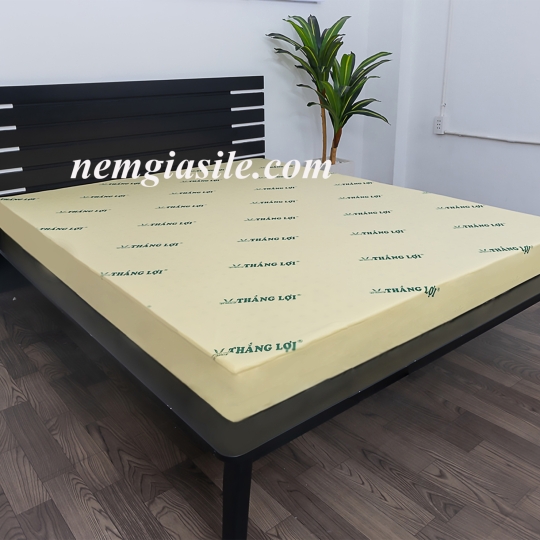 Nệm cao su non Thắng Lợi dạng thẳng