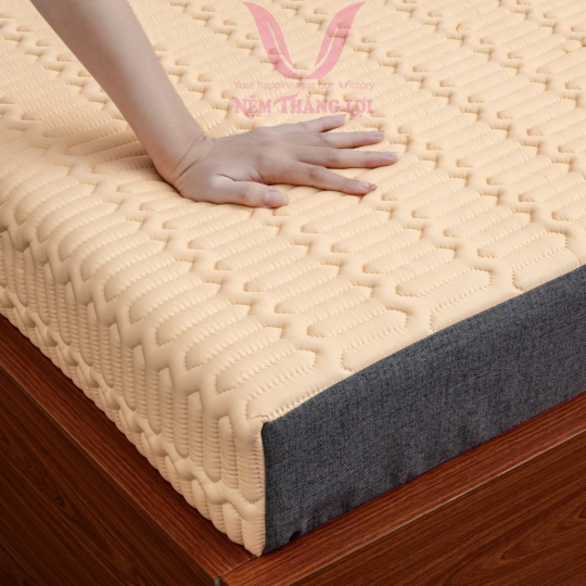 NỆM ĐIỀU HOÀ THẮNG LỢI - VITAMIN COOL