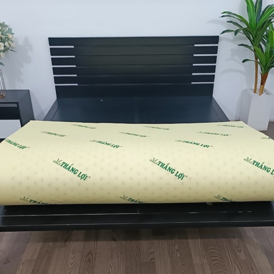 Nệm cao su non Thắng Lợi dạng thẳng
