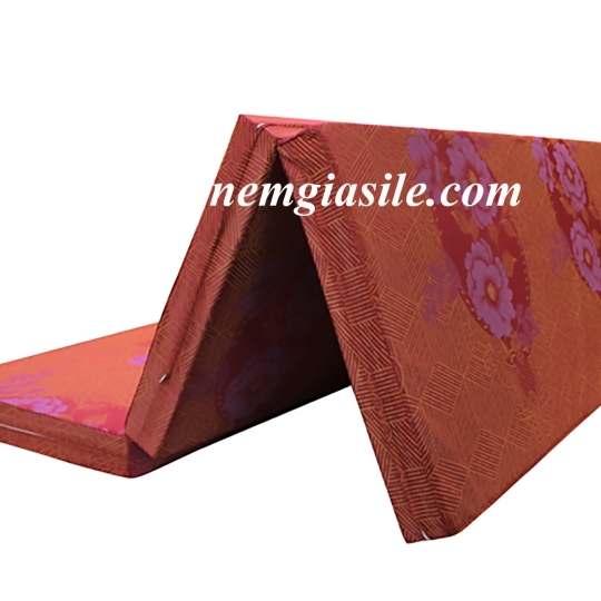 Nệm bông ép mềm Korea