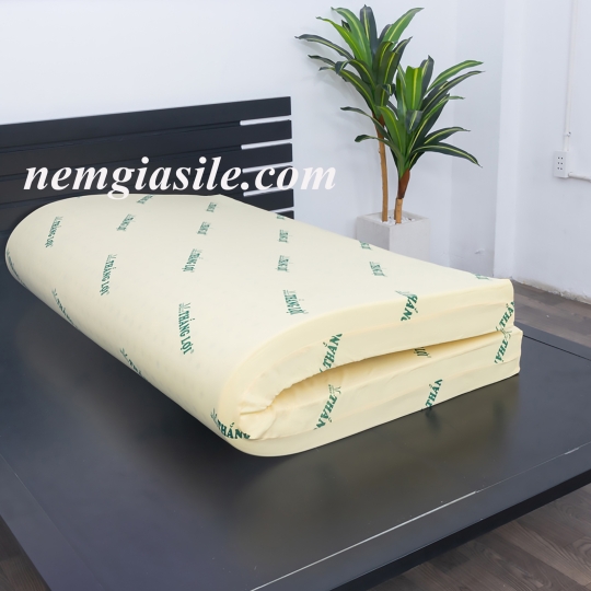 Nệm cao su non Thắng Lợi dạng thẳng