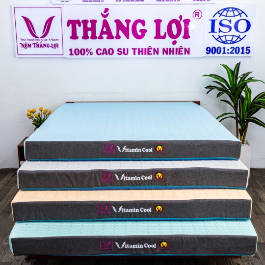 NỆM ĐIỀU HOÀ THẮNG LỢI - VITAMIN COOL