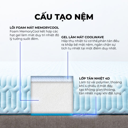 NỆM ĐIỀU HOÀ THẮNG LỢI - VITAMIN COOL