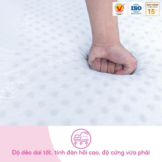 Nệm cao su non cao cấp WonderFoam Thắng Lợi - dạng gấp